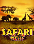 ทดลองเล่นบาคาร่าสายฟ้าฟรี ลุยเกมเด็ดค่ายดัง Joker Gaming